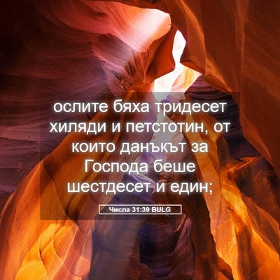 Picture 05 - Числа 31:39 BULG - ослите бяха тридесет - Bible Verse Picture