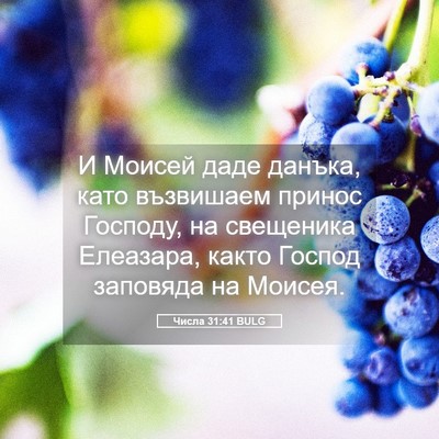 Picture 05 - Числа 31:41 BULG - И Моисей даде данъка, като - Bible Verse Picture