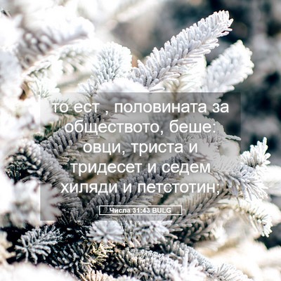 Picture 05 - Числа 31:43 BULG - то ест , половината за - Bible Verse Picture