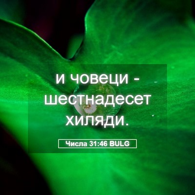 Picture 05 - Числа 31:46 BULG - и човеци - шестнадесет - Bible Verse Picture