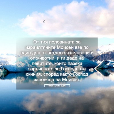 Picture 05 - Числа 31:47 BULG - От тия половината за - Bible Verse Picture