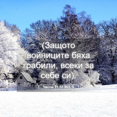 Picture 05 - Числа 31:53 BULG - (Защото войниците бяха - Bible Verse Picture
