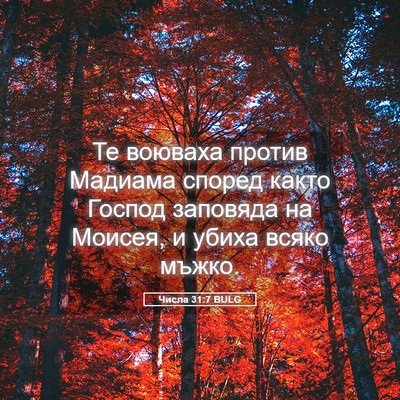 Picture 05 - Числа 31:7 BULG - Те воюваха против Мадиама - Bible Verse Picture