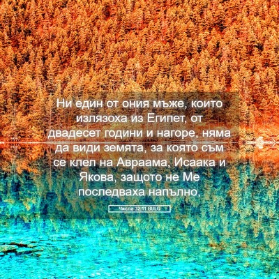 Picture 05 - Числа 32:11 BULG - Ни един от ония мъже, които - Bible Verse Picture