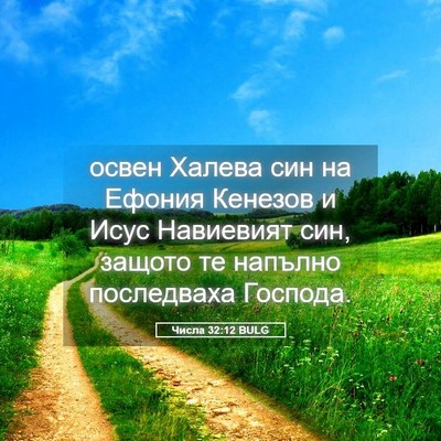 Picture 05 - Числа 32:12 BULG - освен Халева син на Ефония - Bible Verse Picture
