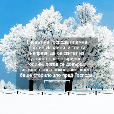 Picture 05 - Числа 32:13 BULG - Гневът на Господа пламна - Bible Verse Picture