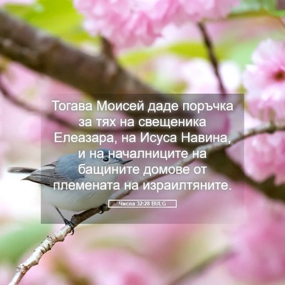 Picture 05 - Числа 32:28 BULG - Тогава Моисей даде поръчка - Bible Verse Picture