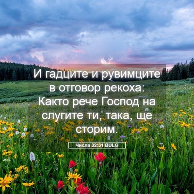 Picture 05 - Числа 32:31 BULG - И гадците и рувимците в - Bible Verse Picture