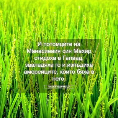 Picture 05 - Числа 32:39 BULG - И потомците на Манасиевия - Bible Verse Picture