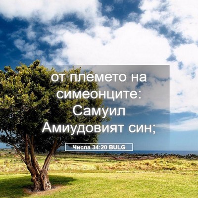 Picture 05 - Числа 34:20 BULG - от племето на симеонците: - Bible Verse Picture