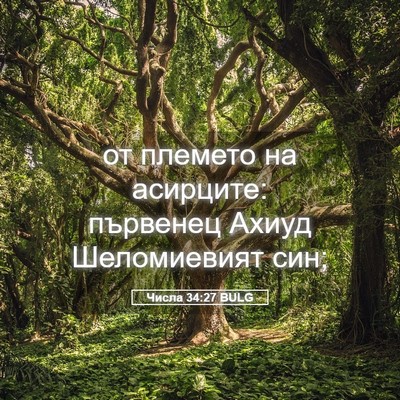 Picture 05 - Числа 34:27 BULG - от племето на асирците: - Bible Verse Picture