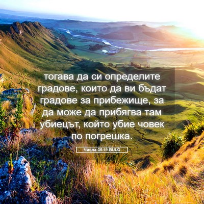 Picture 05 - Числа 35:11 BULG - тогава да си определите - Bible Verse Picture