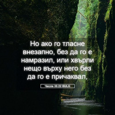 Picture 05 - Числа 35:22 BULG - Но ако го тласне внезапно, - Bible Verse Picture