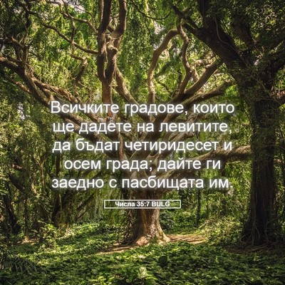 Picture 05 - Числа 35:7 BULG - Всичките градове, които ще - Bible Verse Picture