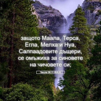 Picture 05 - Числа 36:11 BULG - защото Маала, Терса, Егла, - Bible Verse Picture