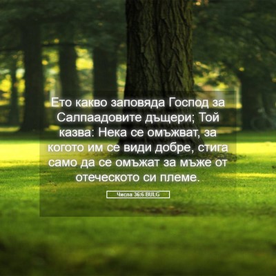 Picture 05 - Числа 36:6 BULG - Ето какво заповяда Господ - Bible Verse Picture