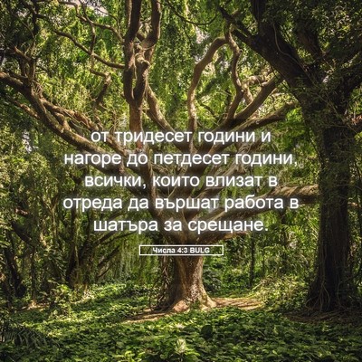 Picture 05 - Числа 4:3 BULG - от тридесет години и - Bible Verse Picture