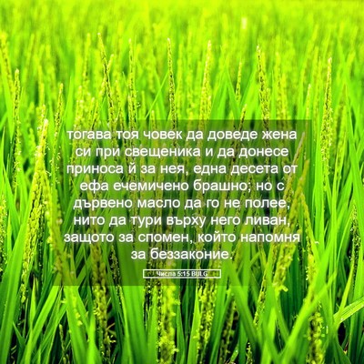Picture 05 - Числа 5:15 BULG - тогава тоя човек да доведе - Bible Verse Picture