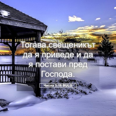 Picture 05 - Числа 5:16 BULG - Тогава свещеникът да я - Bible Verse Picture