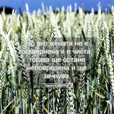 Picture 05 - Числа 5:28 BULG - Но ако жената не е - Bible Verse Picture
