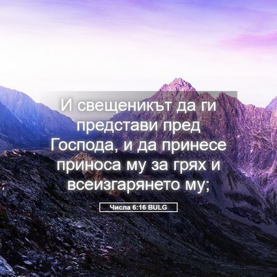 Picture 05 - Числа 6:16 BULG - И свещеникът да ги - Bible Verse Picture