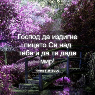 Picture 05 - Числа 6:26 BULG - Господ да издигне лицето - Bible Verse Picture