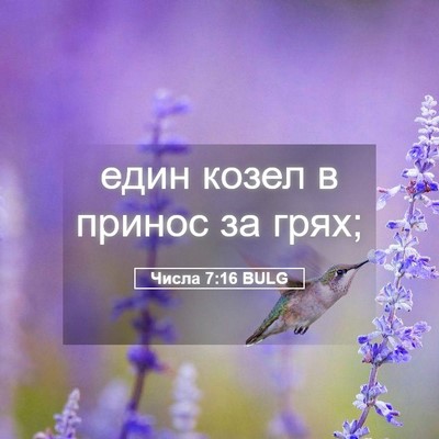 Picture 05 - Числа 7:16 BULG - един козел в принос за - Bible Verse Picture