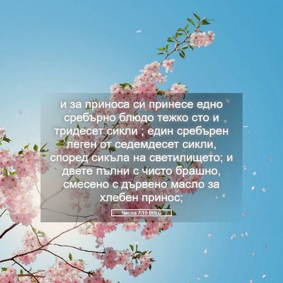 Picture 05 - Числа 7:19 BULG - и за приноса си принесе - Bible Verse Picture