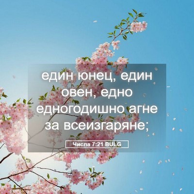 Picture 05 - Числа 7:21 BULG - един юнец, един овен, едно - Bible Verse Picture