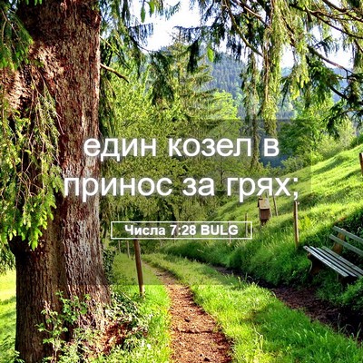Picture 05 - Числа 7:28 BULG - един козел в принос за - Bible Verse Picture