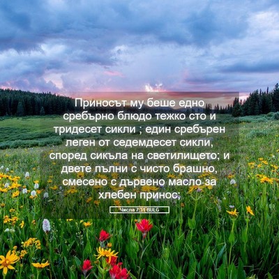 Picture 05 - Числа 7:31 BULG - Приносът му беше едно - Bible Verse Picture