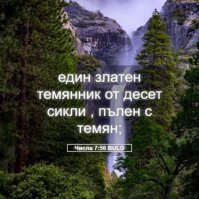 Picture 05 - Числа 7:56 BULG - един златен темянник от - Bible Verse Picture