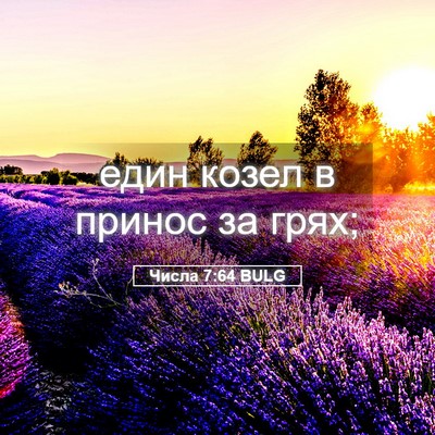 Picture 05 - Числа 7:64 BULG - един козел в принос за - Bible Verse Picture