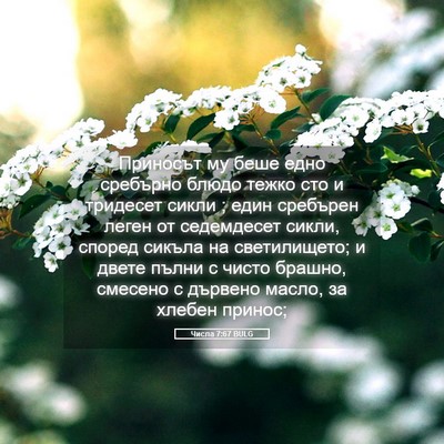Picture 05 - Числа 7:67 BULG - Приносът му беше едно - Bible Verse Picture