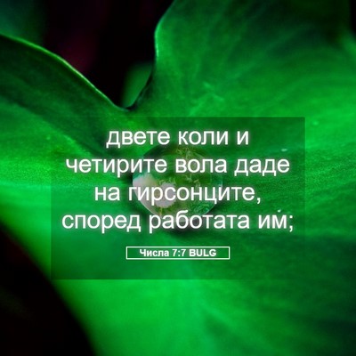 Picture 05 - Числа 7:7 BULG - двете коли и четирите вола - Bible Verse Picture