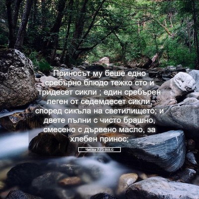 Picture 05 - Числа 7:73 BULG - Приносът му беше едно - Bible Verse Picture