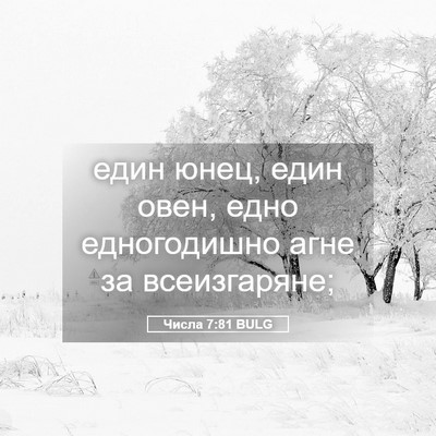 Picture 05 - Числа 7:81 BULG - един юнец, един овен, едно - Bible Verse Picture
