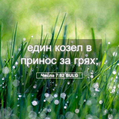 Picture 05 - Числа 7:82 BULG - един козел в принос за - Bible Verse Picture