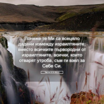 Picture 05 - Числа 8:16 BULG - Понеже те Ми са всецяло - Bible Verse Picture