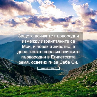 Picture 05 - Числа 8:17 BULG - Защото всичките - Bible Verse Picture