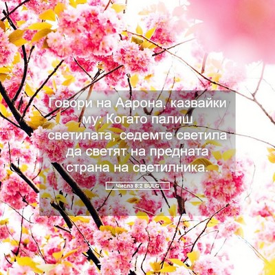 Picture 05 - Числа 8:2 BULG - Говори на Аарона, казвайки - Bible Verse Picture