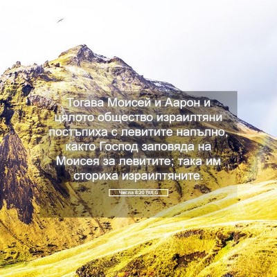 Picture 05 - Числа 8:20 BULG - Тогава Моисей и Аарон и - Bible Verse Picture