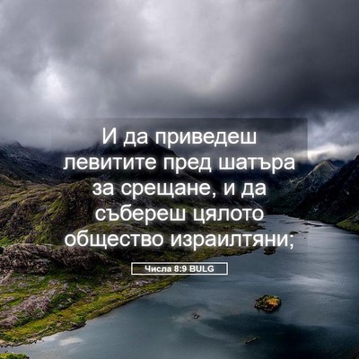 Picture 05 - Числа 8:9 BULG - И да приведеш левитите - Bible Verse Picture