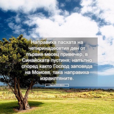 Picture 05 - Числа 9:5 BULG - Направиха пасхата на - Bible Verse Picture