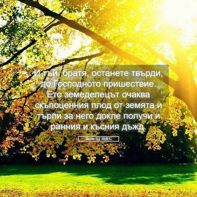 Picture 05 - Яков 5:7 BULG - И тъй, братя, останете - Bible Verse Picture