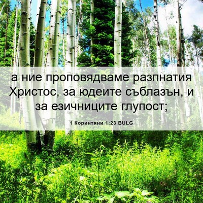 Picture 06 - 1 Коринтяни 1:23 BULG - а ние проповядваме - Bible Verse Picture