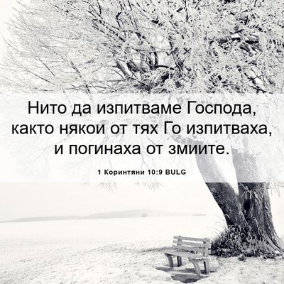 Picture 06 - 1 Коринтяни 10:9 BULG - Нито да изпитваме Господа, - Bible Verse Picture