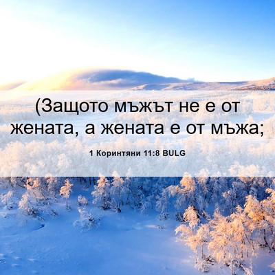 Picture 06 - 1 Коринтяни 11:8 BULG - (Защото мъжът не е от - Bible Verse Picture