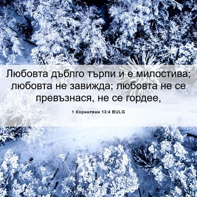 Picture 06 - 1 Коринтяни 13:4 BULG - Любовта дъблго търпи и е - Bible Verse Picture