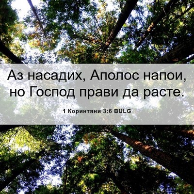 Picture 06 - 1 Коринтяни 3:6 BULG - Аз насадих, Аполос напои, - Bible Verse Picture